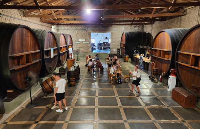 Tour della zona vitivinicola di Maipú - Foto 7