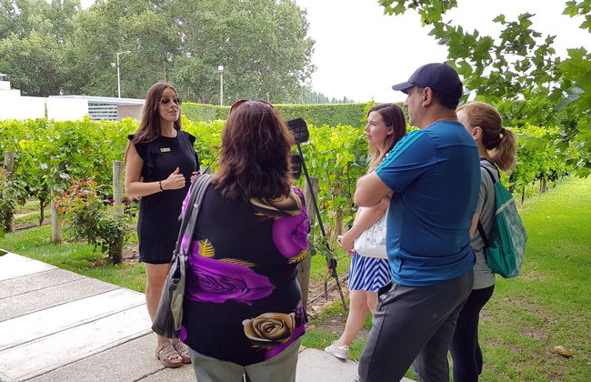 Tour della zona vitivinicola di Maipú - Foto 3