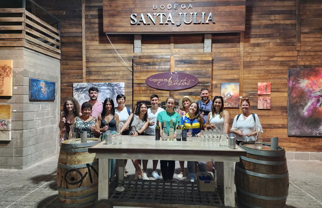 Tour della zona vitivinicola di Maipú - Foto 8