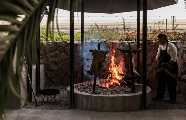 Tour della zona vitivinicola di Maipú - Foto 9