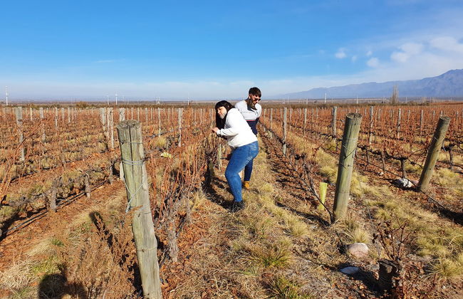 Tour della zona vitivinicola di Maipú - Foto 4
