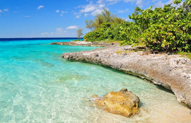 Private Classic Car Beach Day Trip - Photo 1