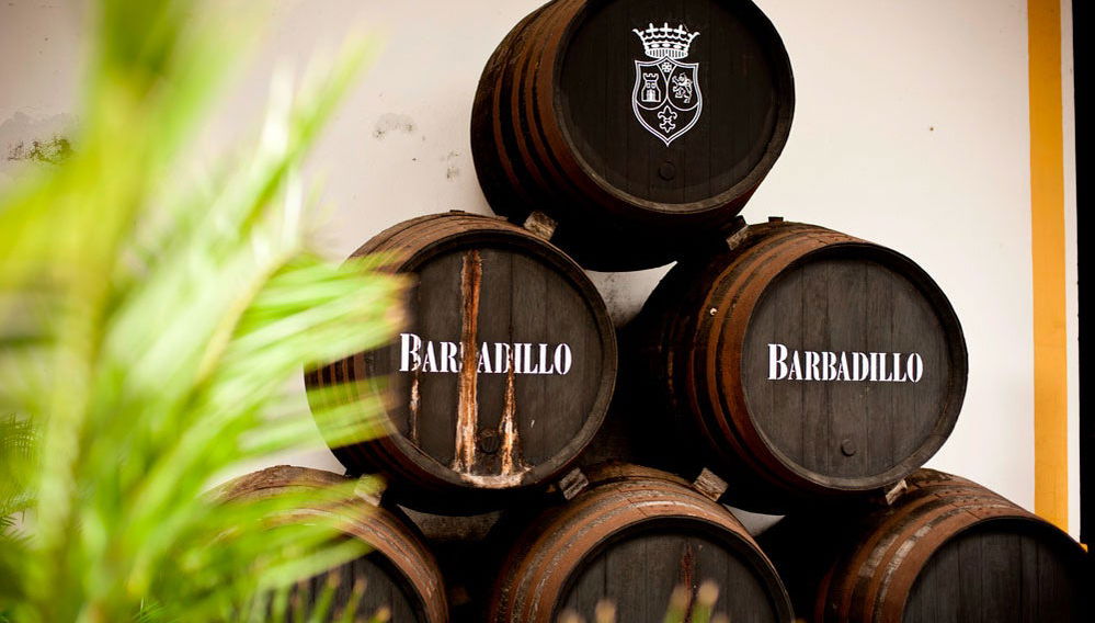 Merchants' Manor Houses Tour - Foto 1