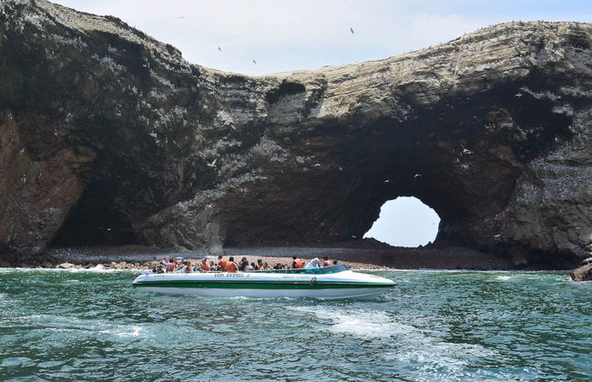 Excursão às ilhas Ballestas - Foto 2