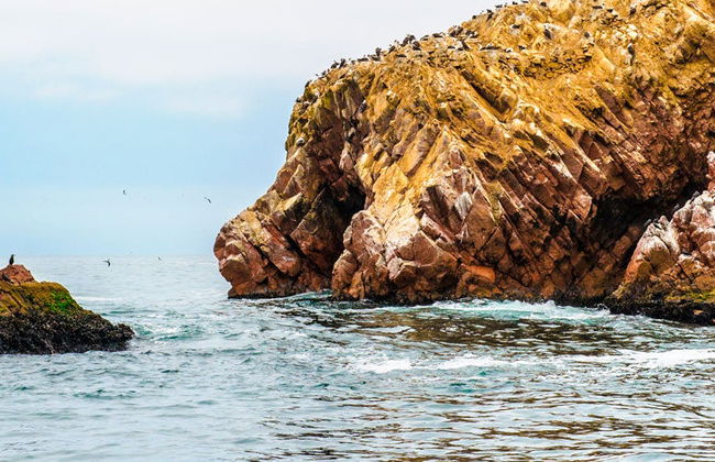 Excursão às ilhas Ballestas - Foto 4
