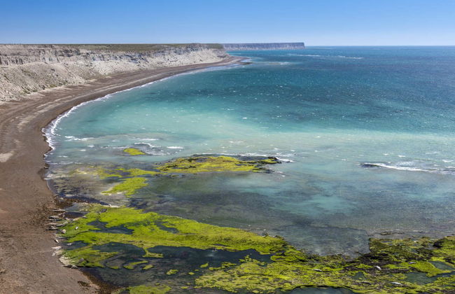 Excursion à la Péninsule Valdés pour les croisiéristes - Photo 1
