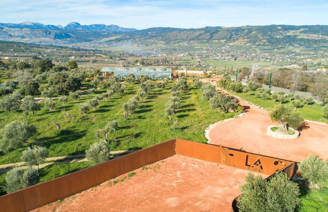 Visita a la finca LA Almazara con cata de aceites - Foto 4