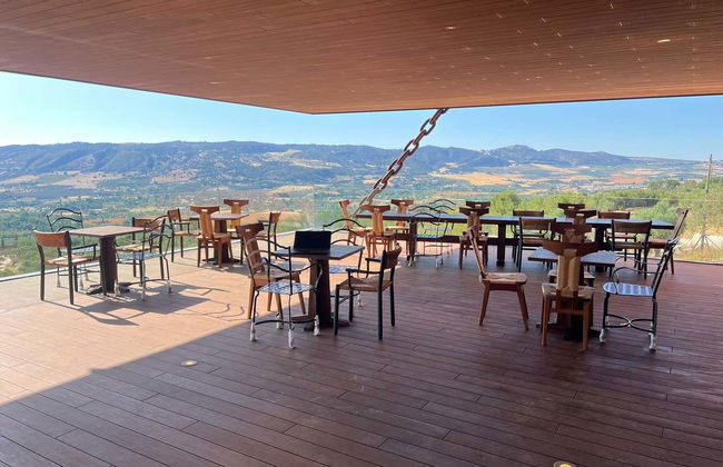 Visita a la finca LA Almazara con cata de aceites - Foto 3