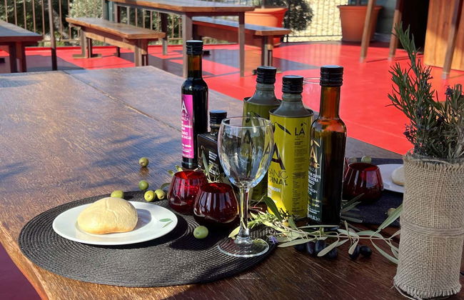 Visita a la finca LA Almazara con cata de aceites - Foto 2