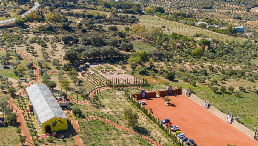 Visita a la finca LA Almazara con cata de aceites
