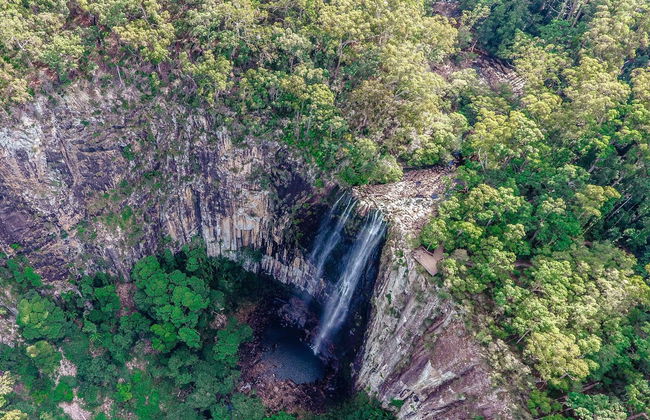 Senderismo por el Parque Nacional Nightcap - Foto 7