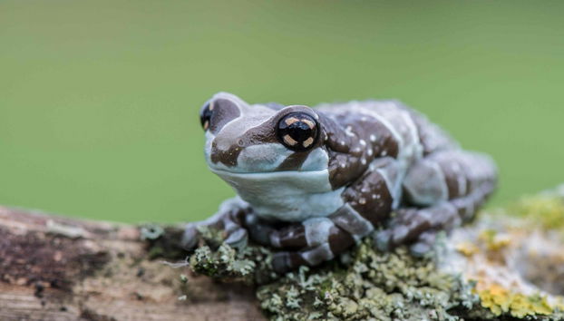 Nightcap National Park Hiking Tour - Photo 4