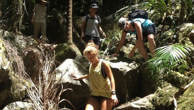 Nightcap National Park Hiking Tour - Photo 5