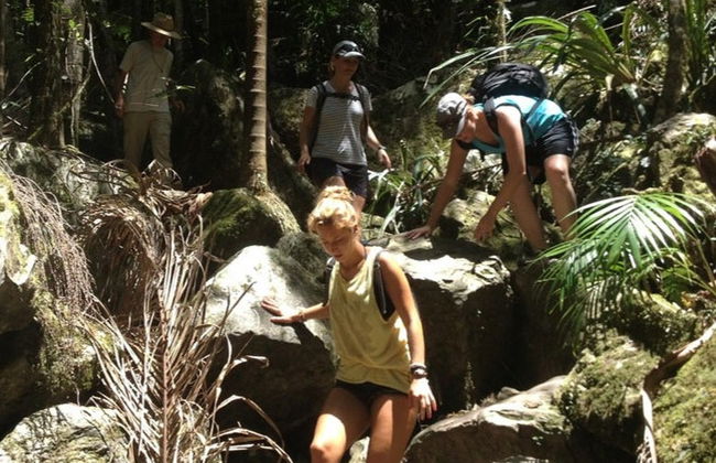 Senderismo por el Parque Nacional Nightcap - Foto 5