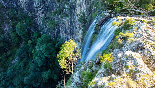 Nightcap National Park Hiking Tour - Photo 2