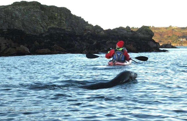 Tour en kayak por Lough Hyne - Foto 2