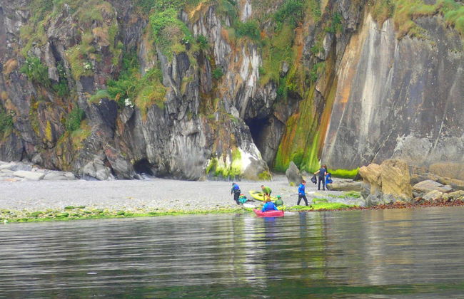 Tour en kayak por Lough Hyne - Foto 3