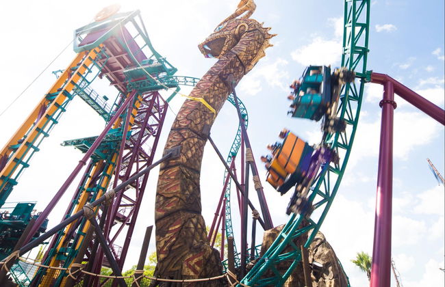 Entrada a Busch Gardens Tampa Bay - Foto 3