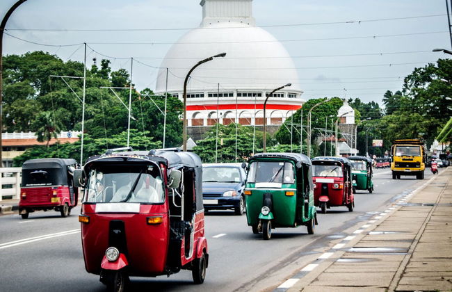 Kalutara Temple and Lunugaga Estate Private Tour - Photo 3