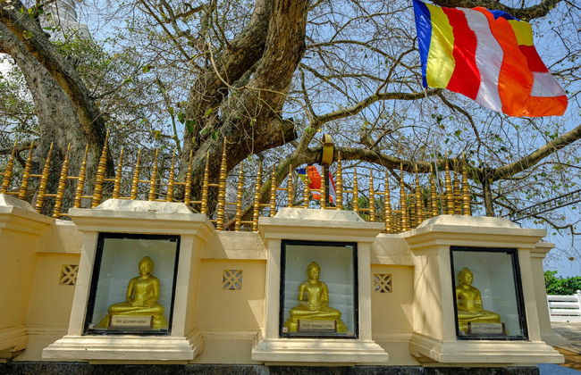 Kalutara Temple and Lunugaga Estate Private Tour - Photo 1