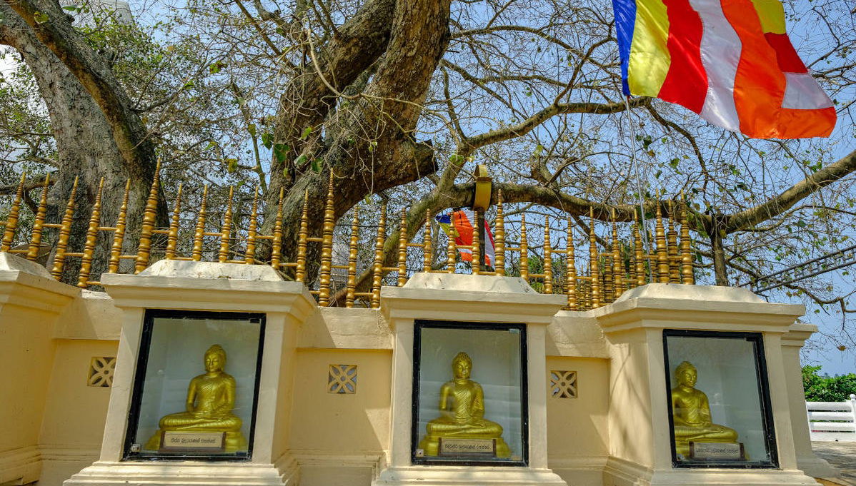 Excursão privada a Kalutara e à fazenda Lunuganga - Foto 1