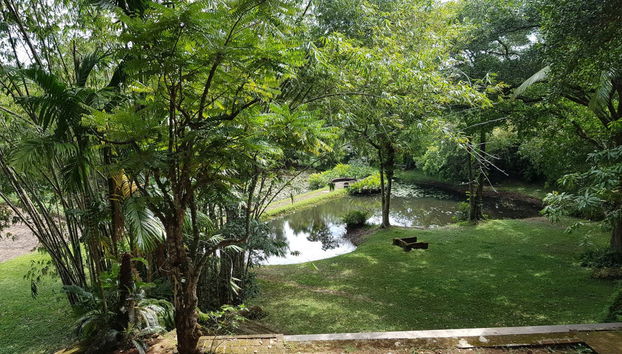 Excursão privada a Kalutara e à fazenda Lunuganga - Foto 2