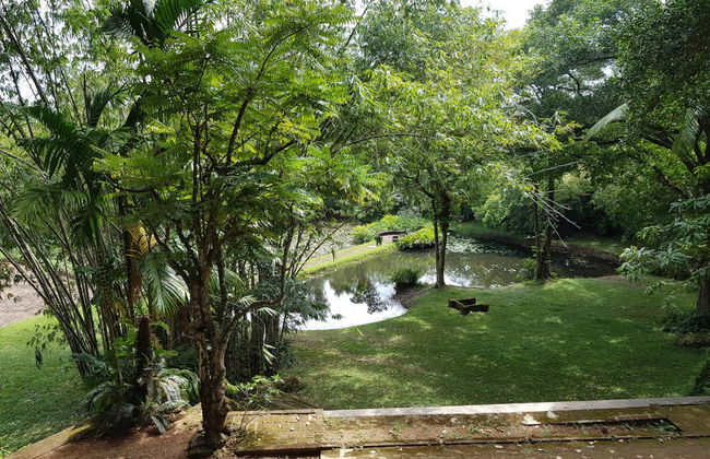 Kalutara Temple and Lunugaga Estate Private Tour - Photo 2