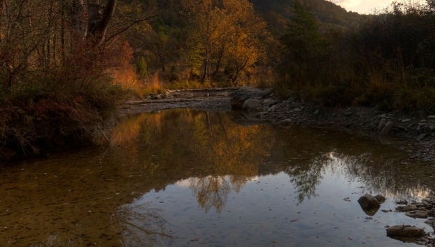 Dragonja Valley Hiking Tour - Foto 5