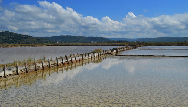 Dragonja Valley Hiking Tour - Foto 2