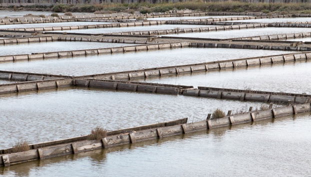 Dragonja Valley Hiking Tour - Foto 4