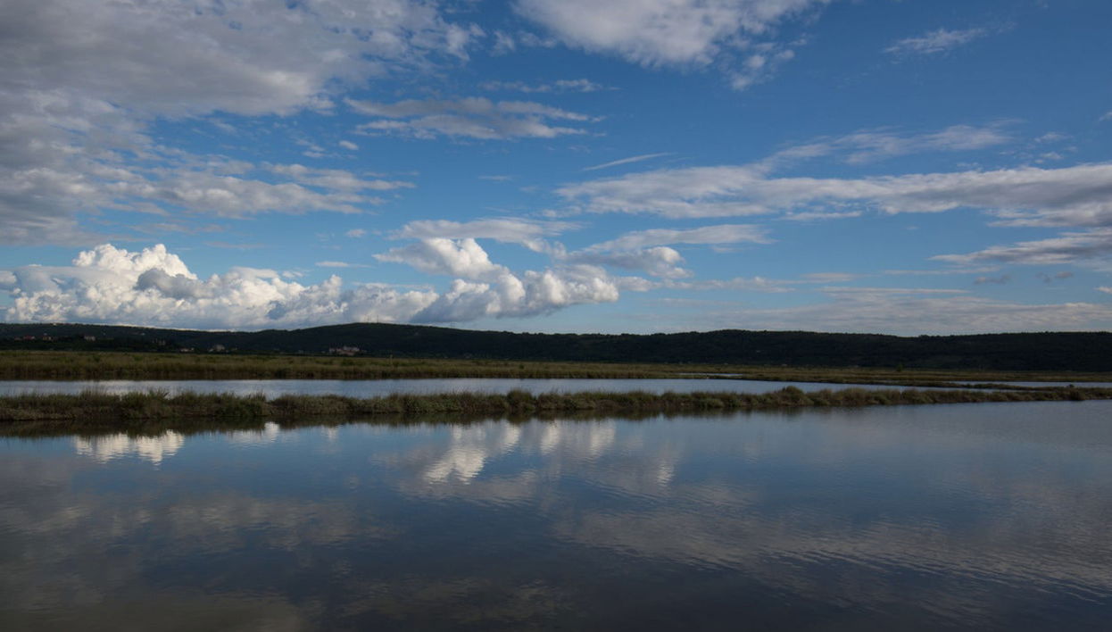 Dragonja Valley Hiking Tour - Foto 1