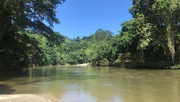 Tubing Down the Don Diego River - Foto 2
