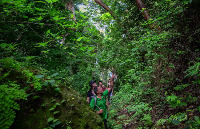 Randonnée au cerro del Mono - Photo 2