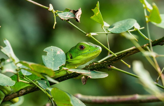 Senderismo por el cerro del Mono - Foto 5