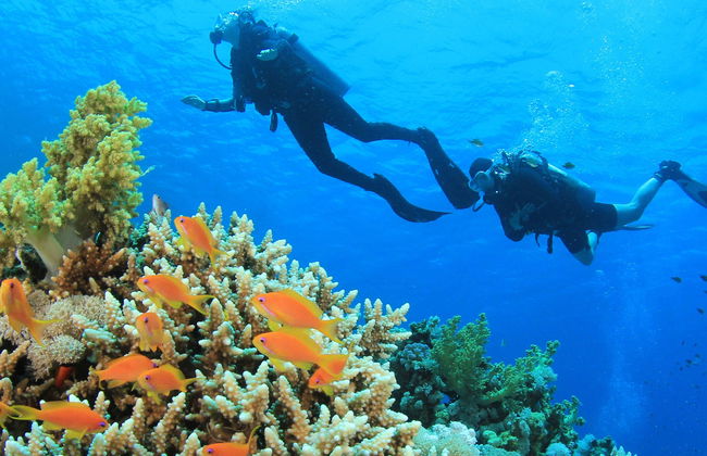 Bautismo de buceo en Addu - Foto 6