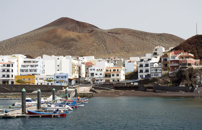 La Restinga Dolphin & Whale Watching - Photo 4