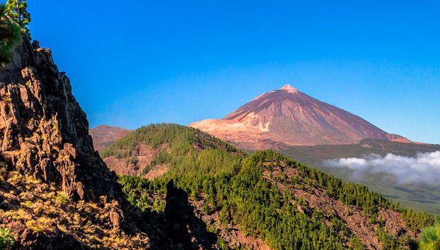 Excursión al Teide, Icod, Masca y Garachico desde el norte de Tenerife - Foto 5