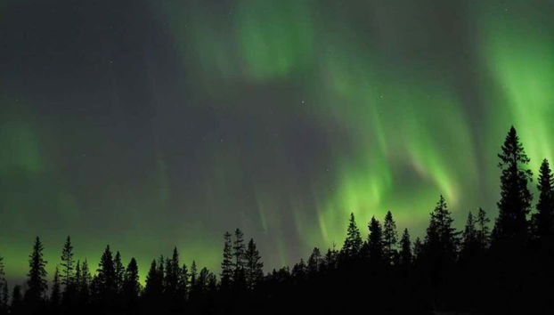 Tour de la aurora boreal por Luleå - Foto 4