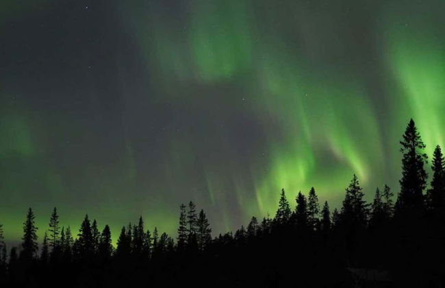Luleå Northern Lights Tour - Photo 4