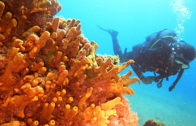 Bautismo de buceo en Puerto del Carmen - Foto 4