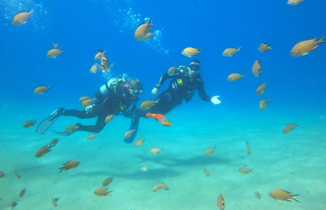 Curso PADI Discover Scuba Diving en Puerto del Carmen - Foto 9