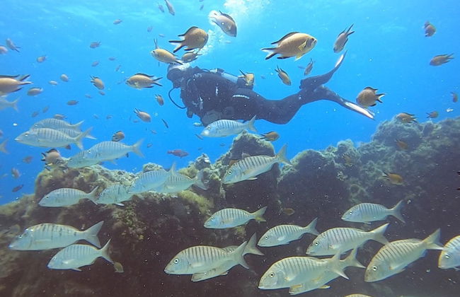 Curso PADI Discover Scuba Diving en Puerto del Carmen - Foto 2