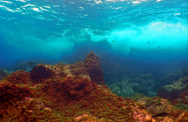 Snorkel en Fuencaliente - Foto 3
