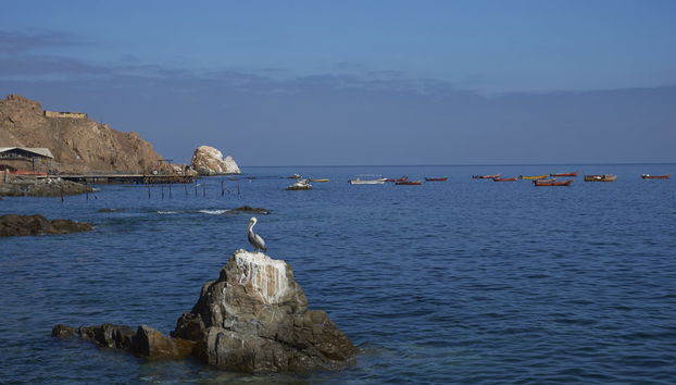 Pisagua Day Trip - Foto 4