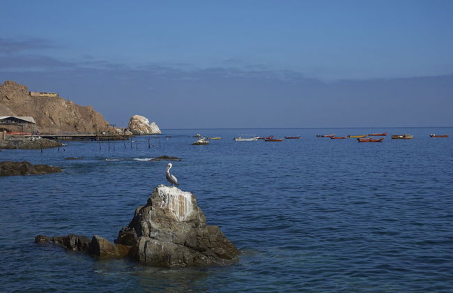 Pisagua Day Trip - Foto 4