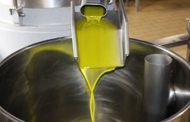 Tour dell'olio a Montoro - Foto 3