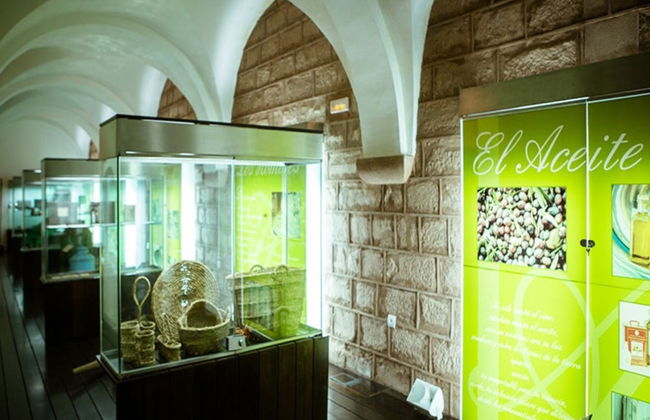 Tour dell'olio a Montoro - Foto 4