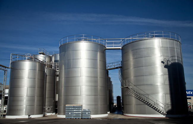 Visita a las bodegas Romale - Foto 2