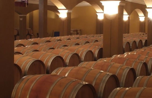 Visita a las bodegas Romale - Foto 6