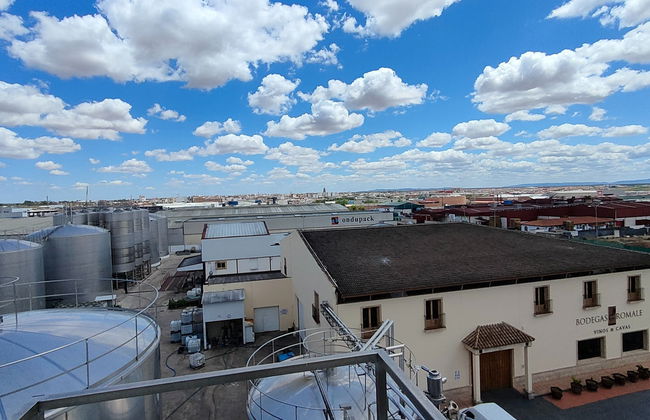 Visita a las bodegas Romale - Foto 5